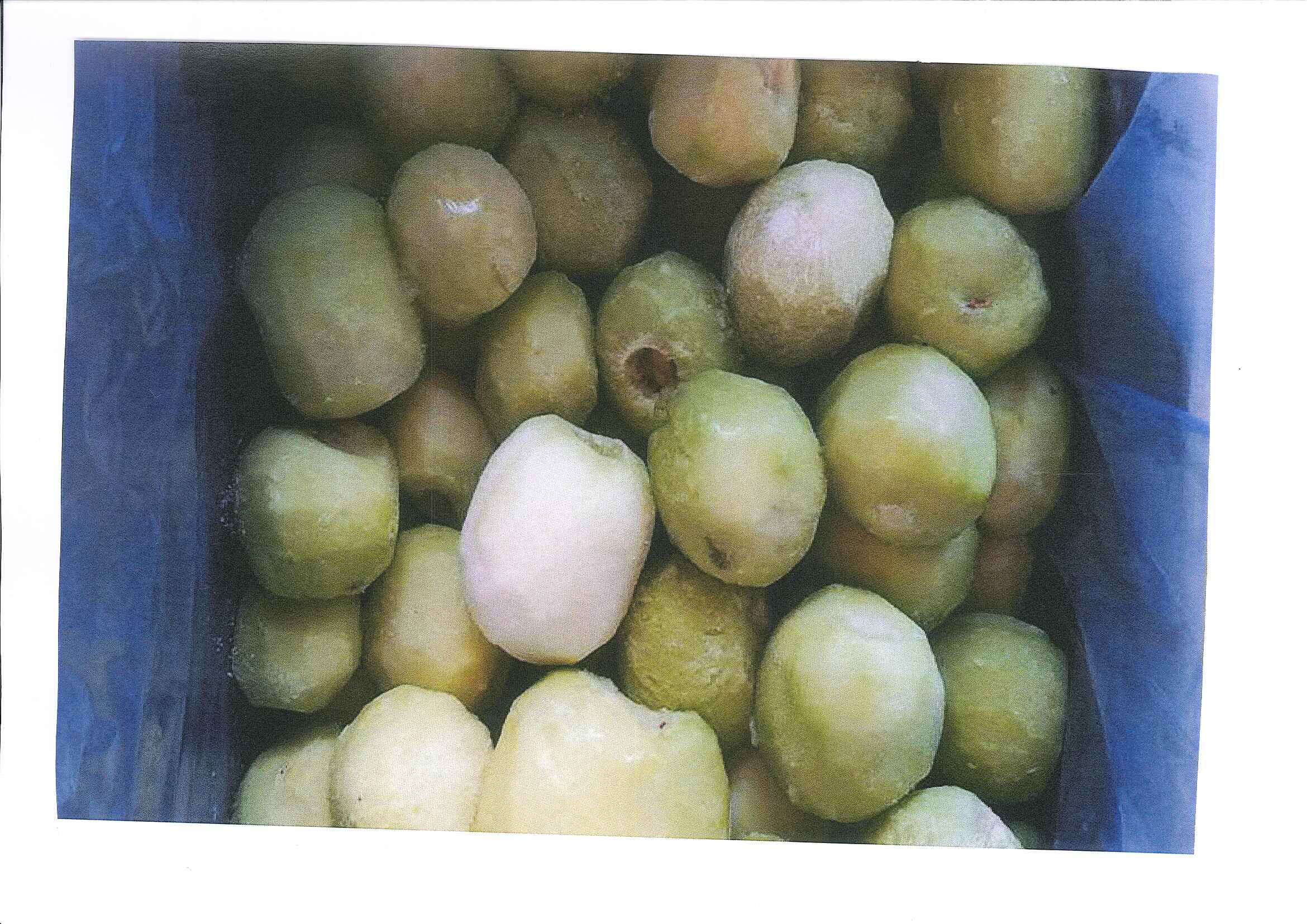 KIWI PELADO ENTERO CONGELADO 1 KG